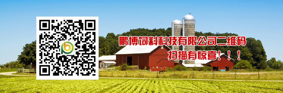 鵬博二維碼，掃描有驚喜！
